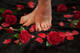 Piedi e Camelia